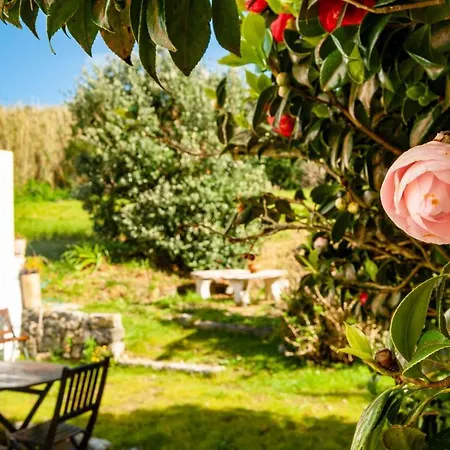 House Σπίτι διακοπών *